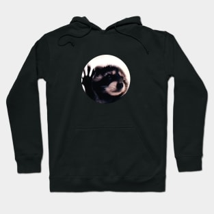 Damen Pedro Racoon Dance Popular Internet Meme RACOON DAY Hoodie